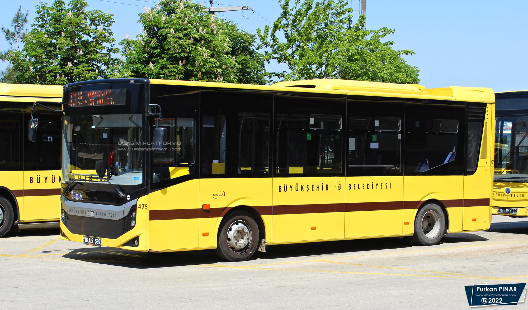 [Resim: 1653546934_fUw3sUoliWd2nYL.JPG]