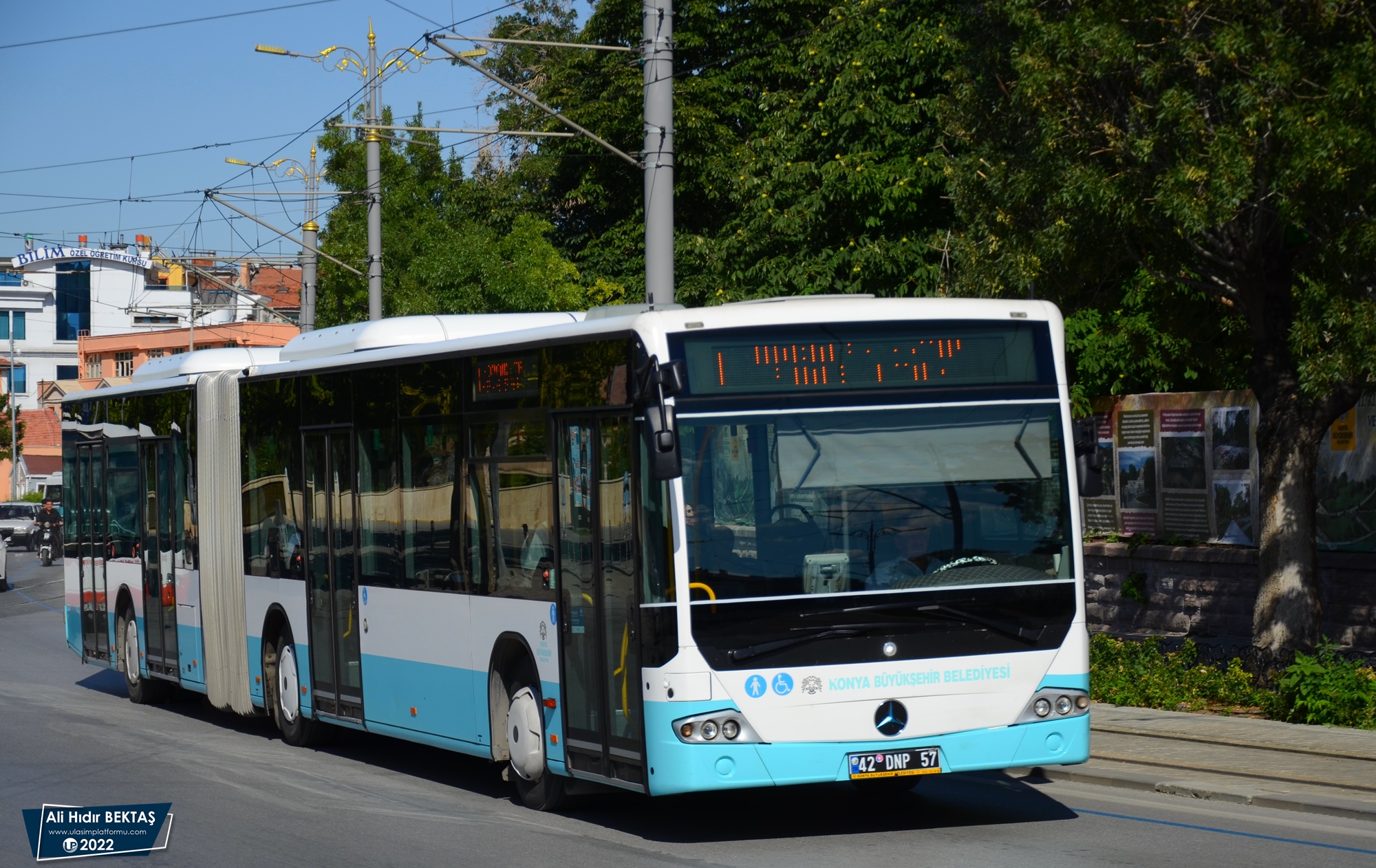 [Resim: 1665071177_93T4TnKEiKefRgc.JPG]