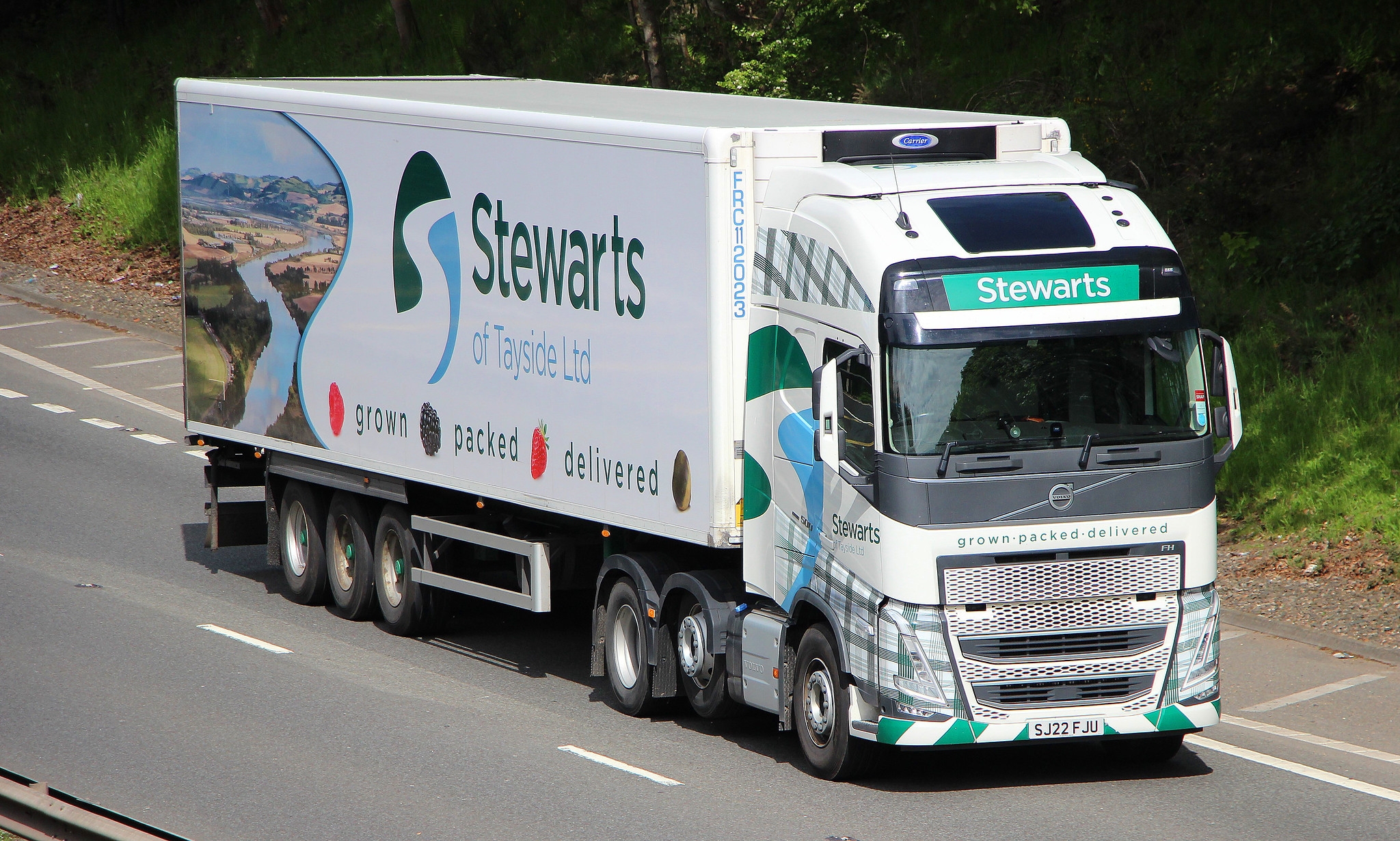 [Resim: 1697811922_fNVPM55Mr2KPR8j.jpg]