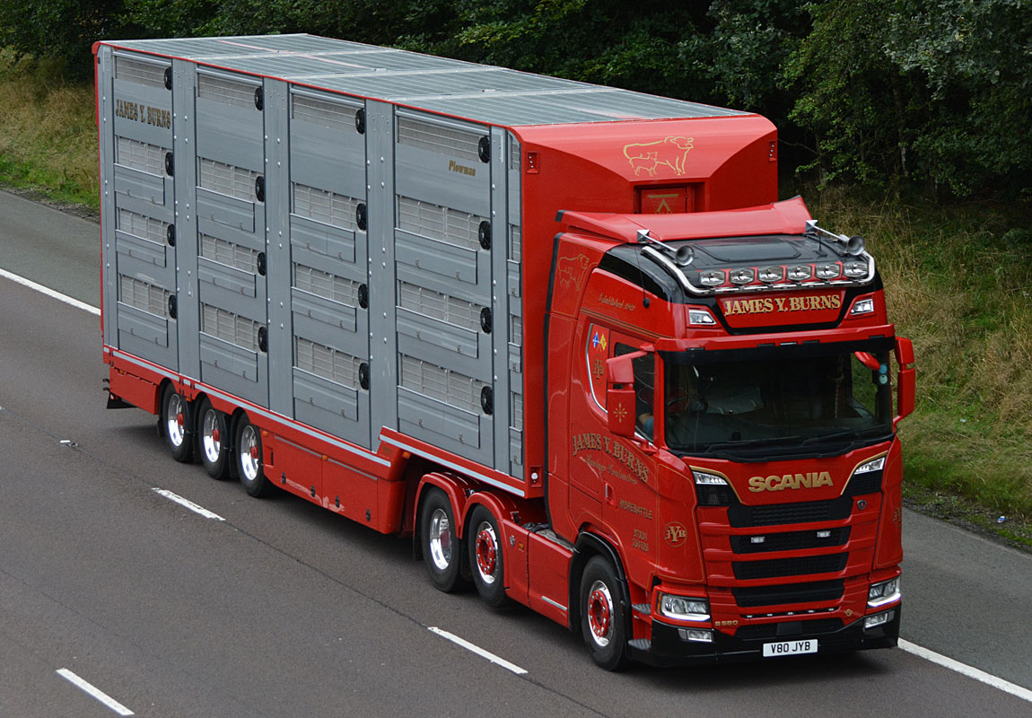 [Resim: 1699303591_byylBPwSnog8PRx.jpg]