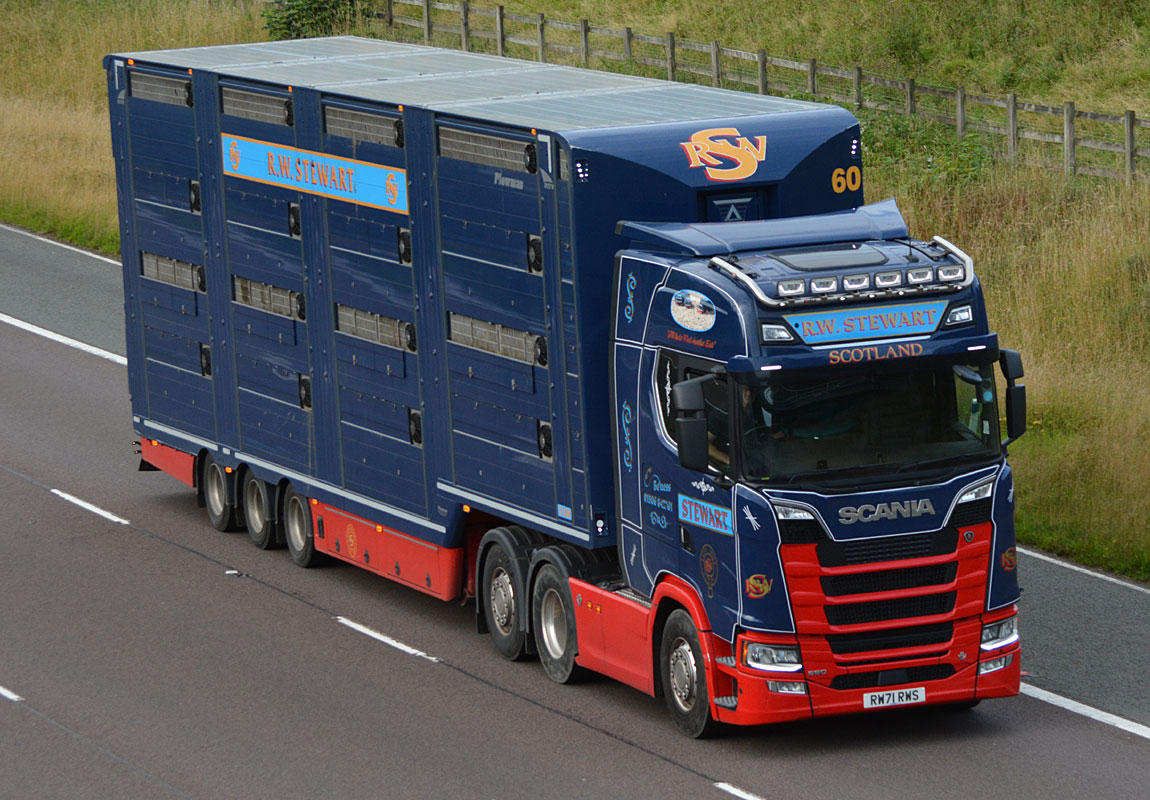 [Resim: 1699303604_n4WKt0jpX67UAWB.jpg]