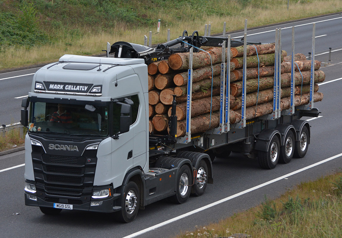 [Resim: 1699476481_U3xWoV2EraGhdWi.jpg]