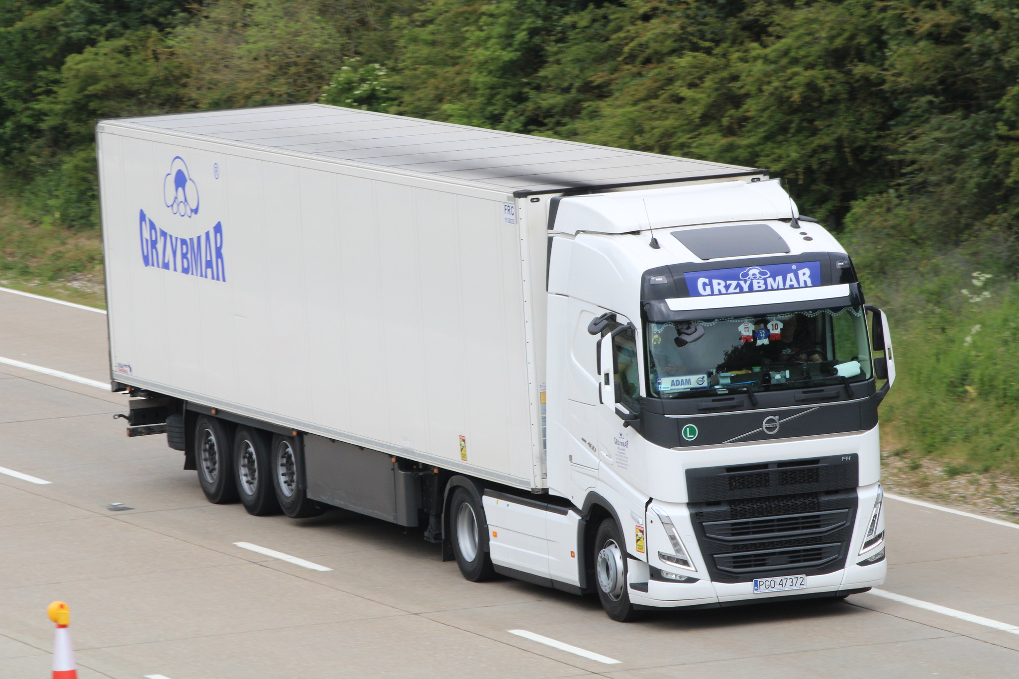 [Resim: 1700678261_0t1FK8qpu0D7LuG.jpg]